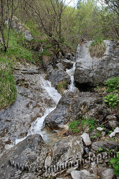 09 03733 Torrente Edra.JPG